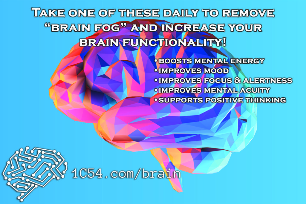 brain alert supplement